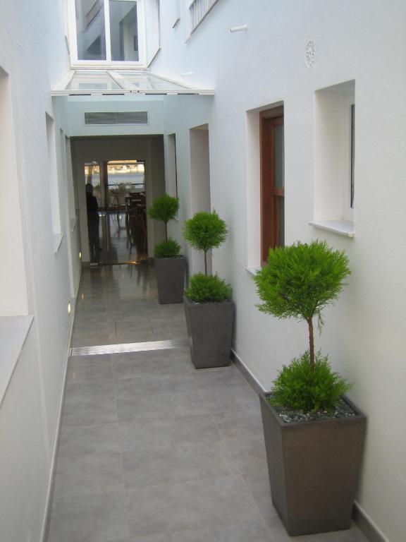 Hostal La Palma Fornells  Exteriér fotografie